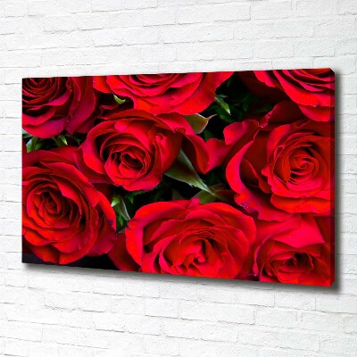 Bild auf leinwand Rote Rosen
