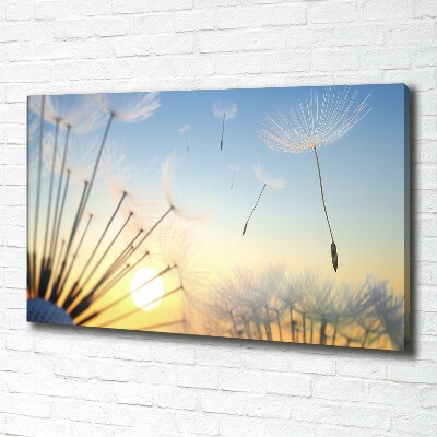 Wandbild Löwenzahnsamen