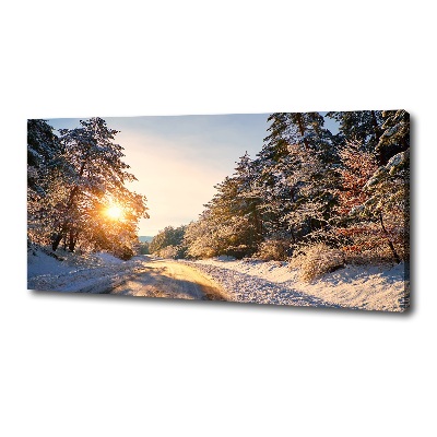 Bild auf leinwand Eine Straße im Wald im Winter