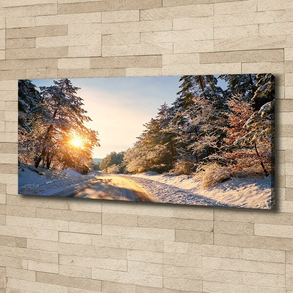 Bild auf leinwand Eine Straße im Wald im Winter