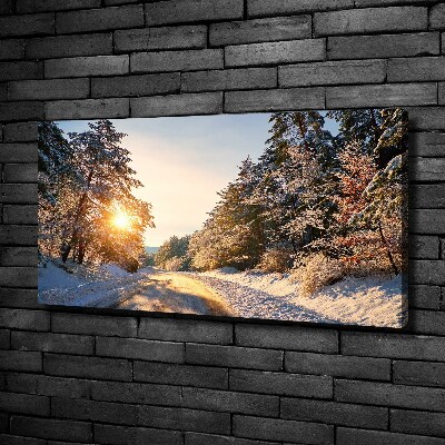 Bild auf leinwand Eine Straße im Wald im Winter