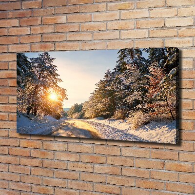Bild auf leinwand Eine Straße im Wald im Winter