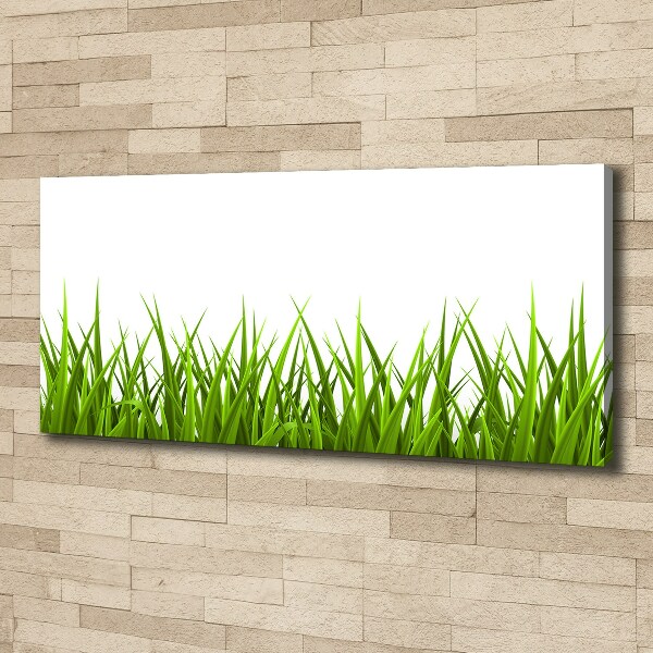 Bild auf leinwand Gras