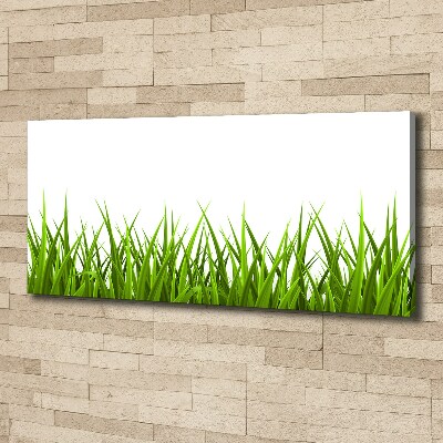 Bild auf leinwand Gras