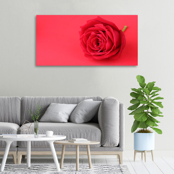 Wandbild Rote Rose