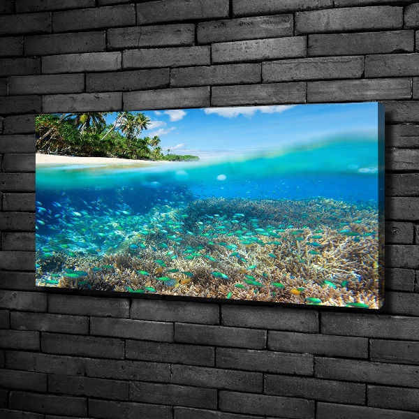 Bild auf leinwand Korallenriff