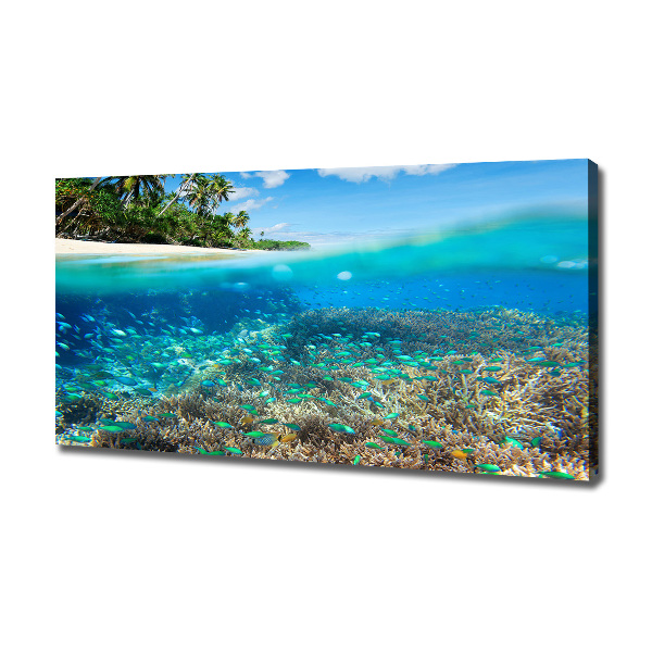 Bild auf leinwand Korallenriff