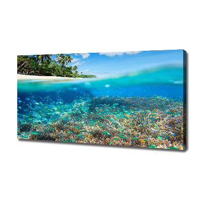 Bild auf leinwand Korallenriff