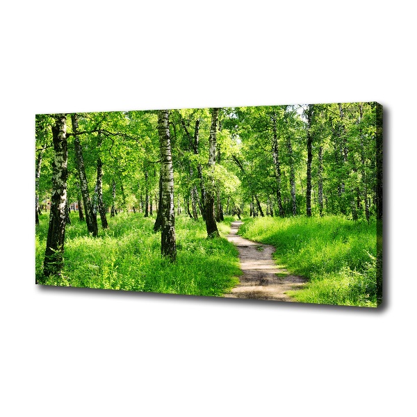 Wandbild Birkenwald