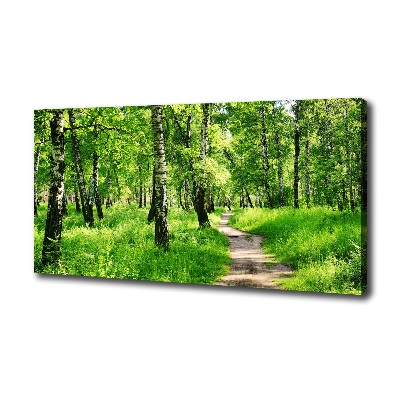 Wandbild Birkenwald
