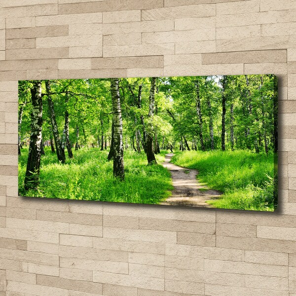 Wandbild Birkenwald