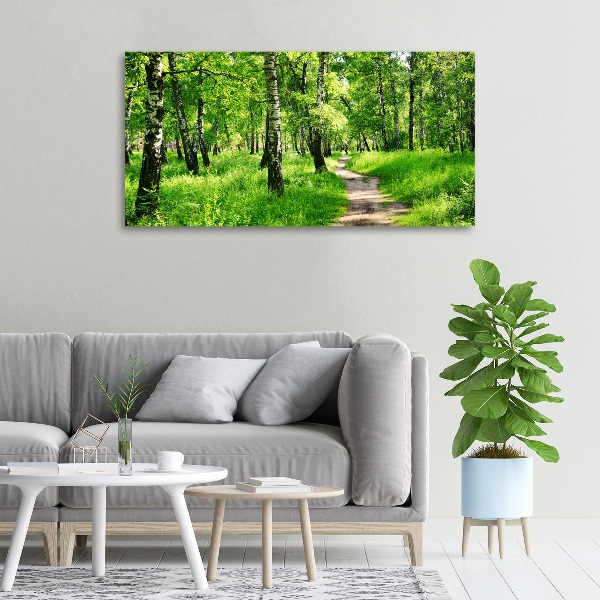 Wandbild Birkenwald