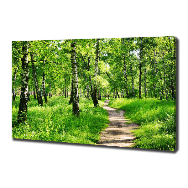 Wandbild Birkenwald