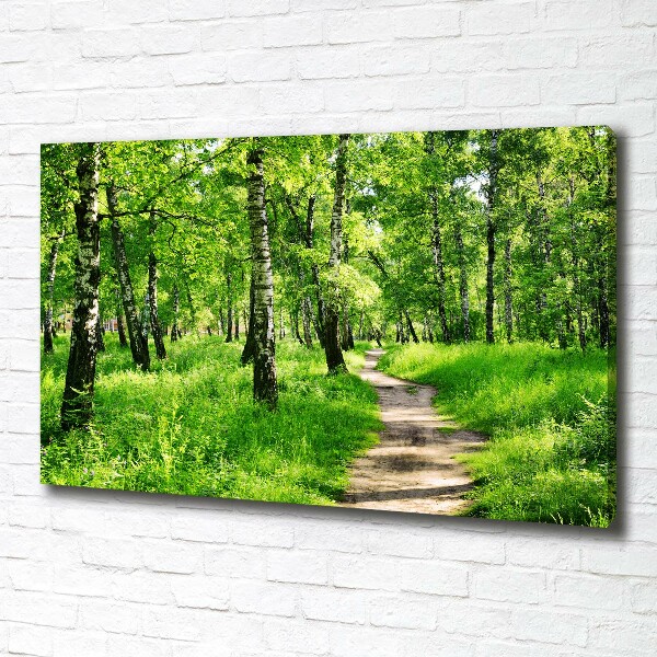 Wandbild Birkenwald