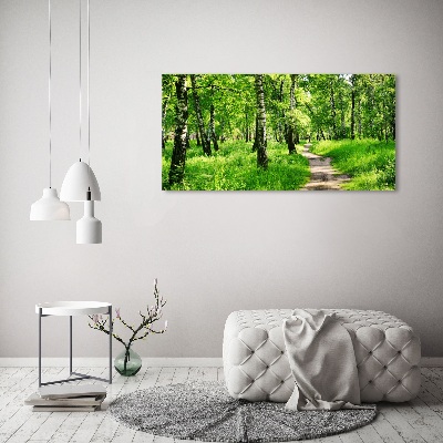 Wandbild Birkenwald