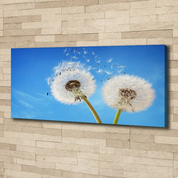 Bild auf leinwand Löwenzahn