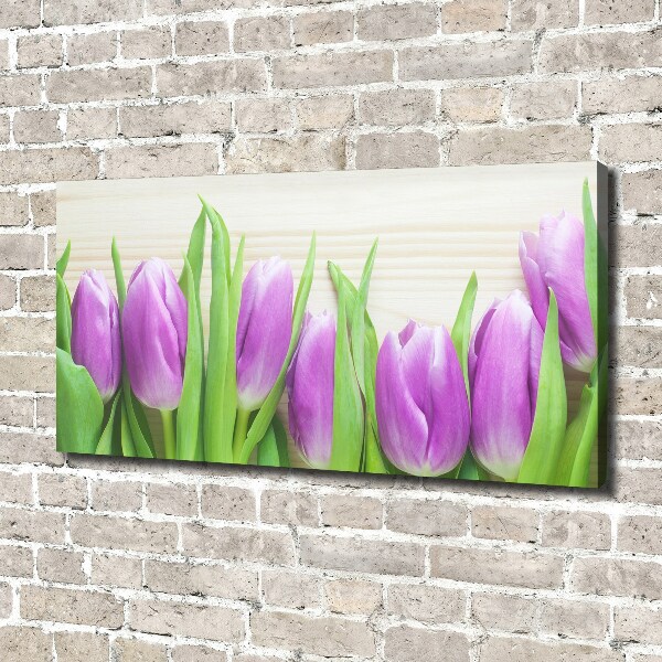 Wandbild Lila Tulpen