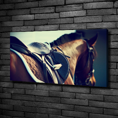 Fotobild Sattel mit Steigbügeln