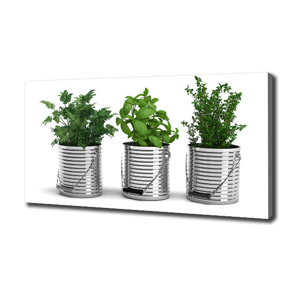 Wandbild Aromatische Pflanzen