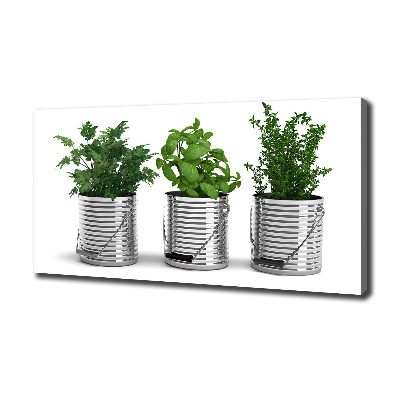 Wandbild Aromatische Pflanzen