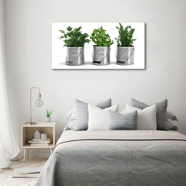 Wandbild Aromatische Pflanzen