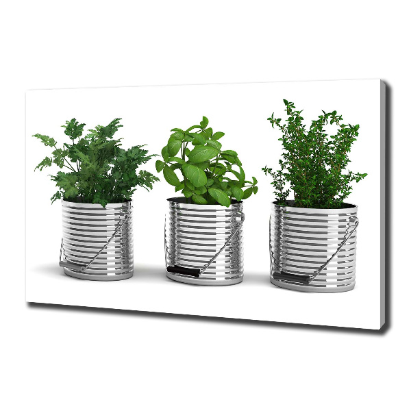 Wandbild Aromatische Pflanzen