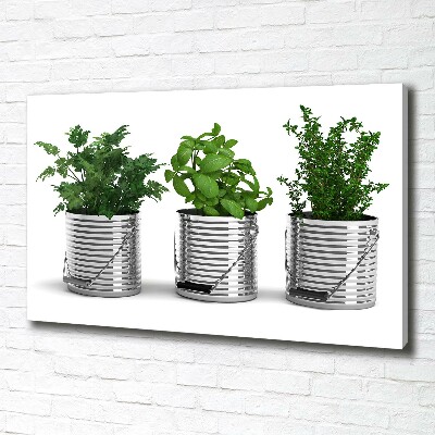 Wandbild Aromatische Pflanzen