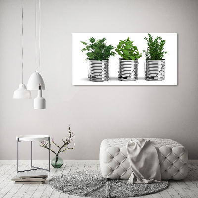 Wandbild Aromatische Pflanzen