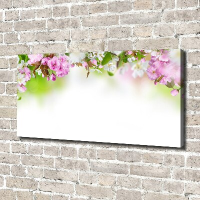 Bild auf leinwand Frühlingsblumen