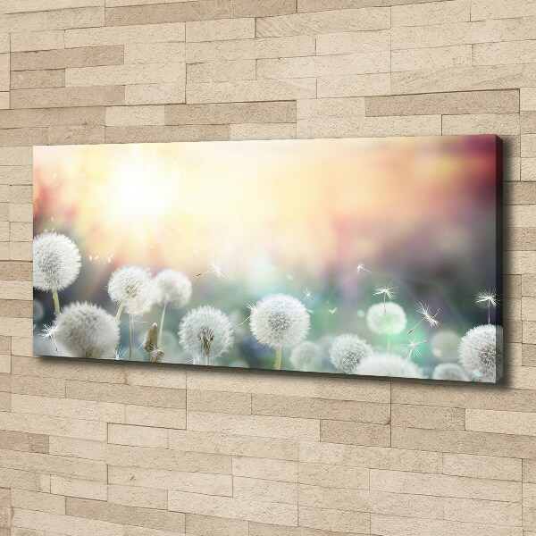 Wandbild Löwenzahnfeld
