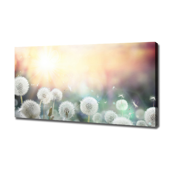 Wandbild Löwenzahnfeld