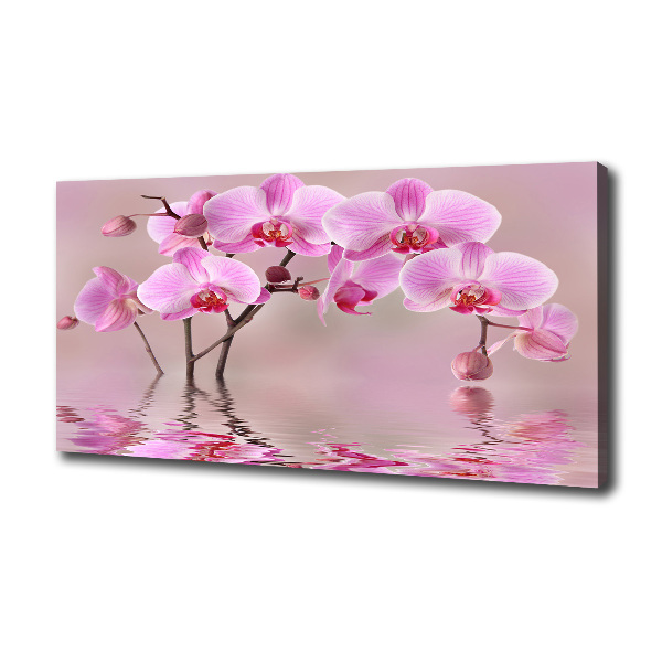 Bild auf leinwand Rosa Orchidee