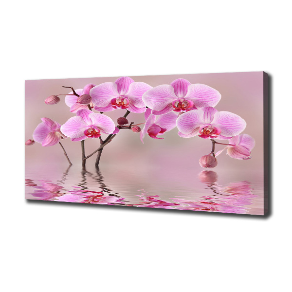 Bild auf leinwand Rosa Orchidee