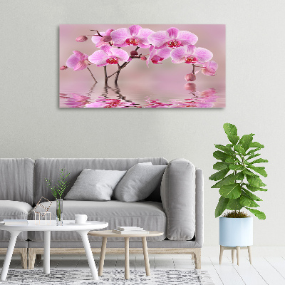 Bild auf leinwand Rosa Orchidee