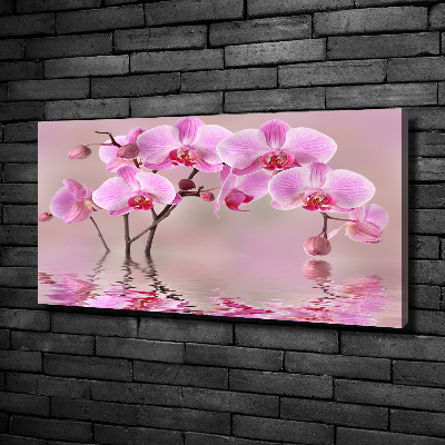 Bild auf leinwand Rosa Orchidee