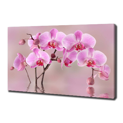Bild auf leinwand Rosa Orchidee