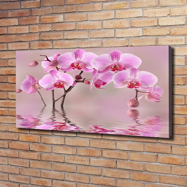 Bild auf leinwand Rosa Orchidee