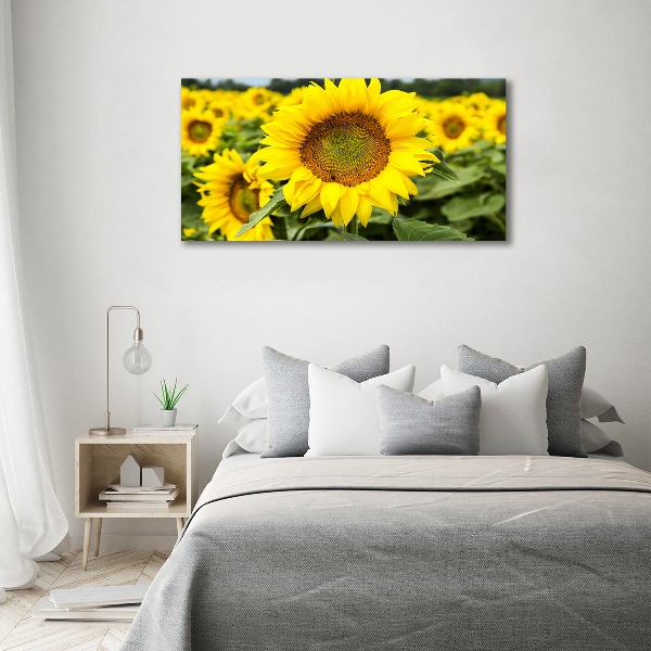 Wandbild Ein Sonnenblumenfeld