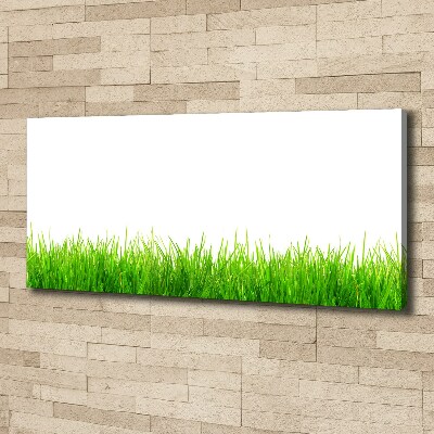 Bild auf leinwand Gras