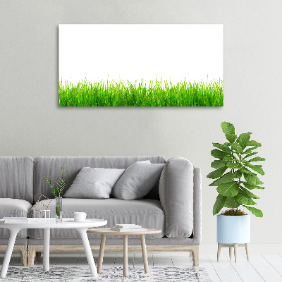 Bild auf leinwand Gras