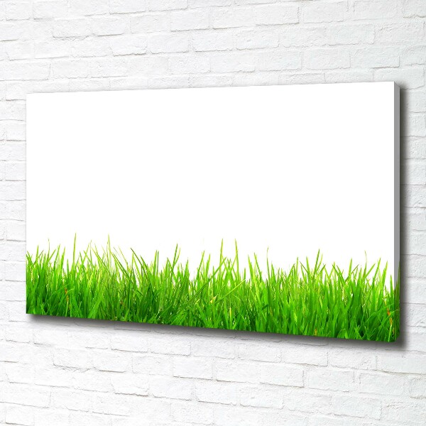 Bild auf leinwand Gras