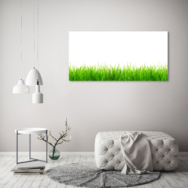 Bild auf leinwand Gras