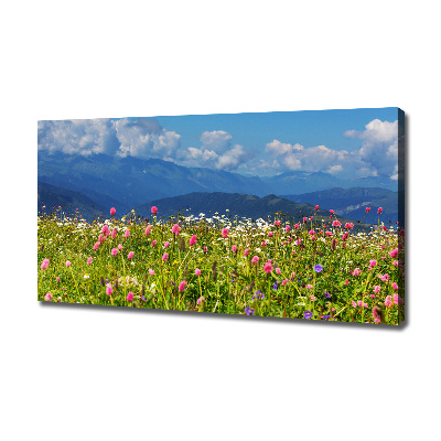 Fotobild Wiese in den Bergen