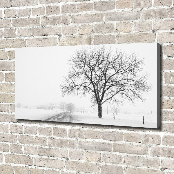 Bild auf leinwand Baum im Winter