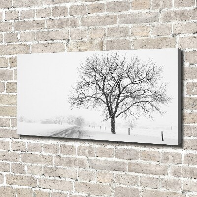 Bild auf leinwand Baum im Winter