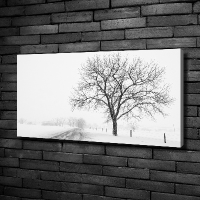 Bild auf leinwand Baum im Winter