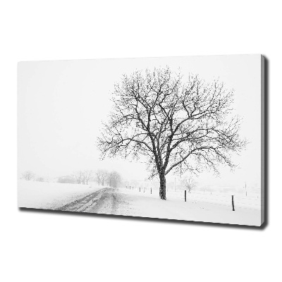 Bild auf leinwand Baum im Winter