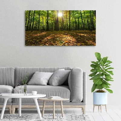 Bild auf leinwand Wald