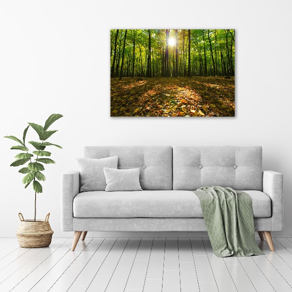 Bild auf leinwand Wald