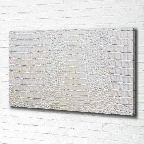 Fotobild Krokodilhaut